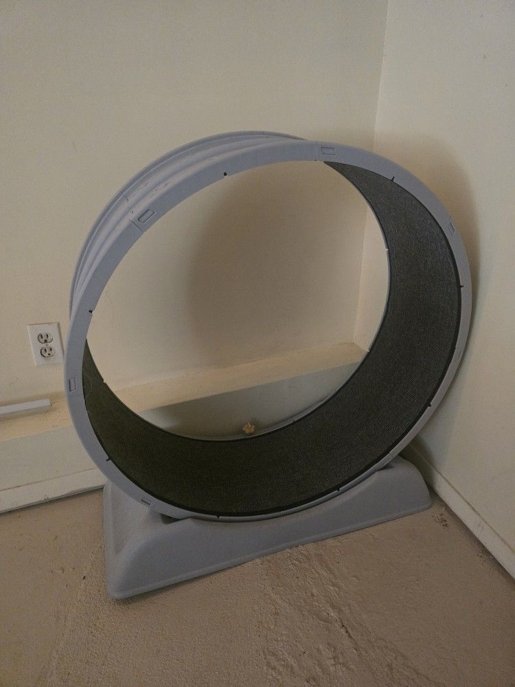 Cat Treadmill
