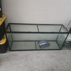 Fish tanks
