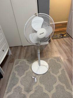 Stand Fan