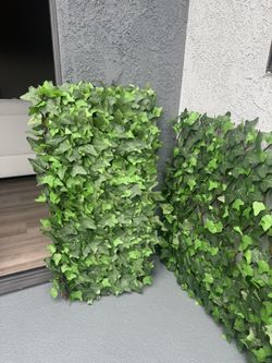 Greenery Privacy Screens