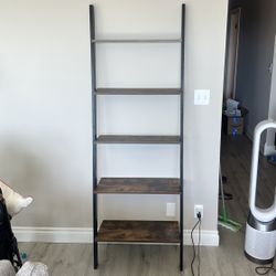 Ladder Leaning Bookshelf