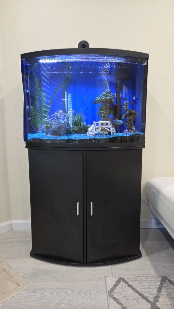 Fish Tank Aquarium with Stand and All Accessories