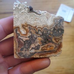 Crazy Lace Agate Slice