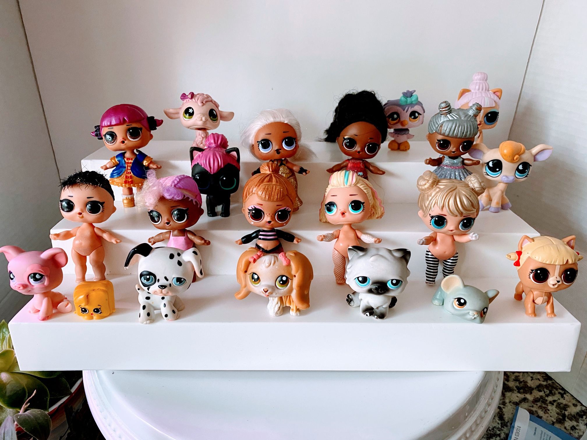 Lol Surprise Dolls