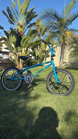 Blue Mongoose Index (kids)