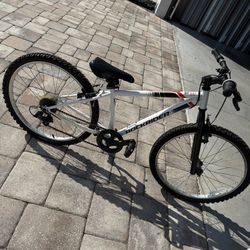 20inch Bike 