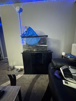 29 gallon aquarium and stand