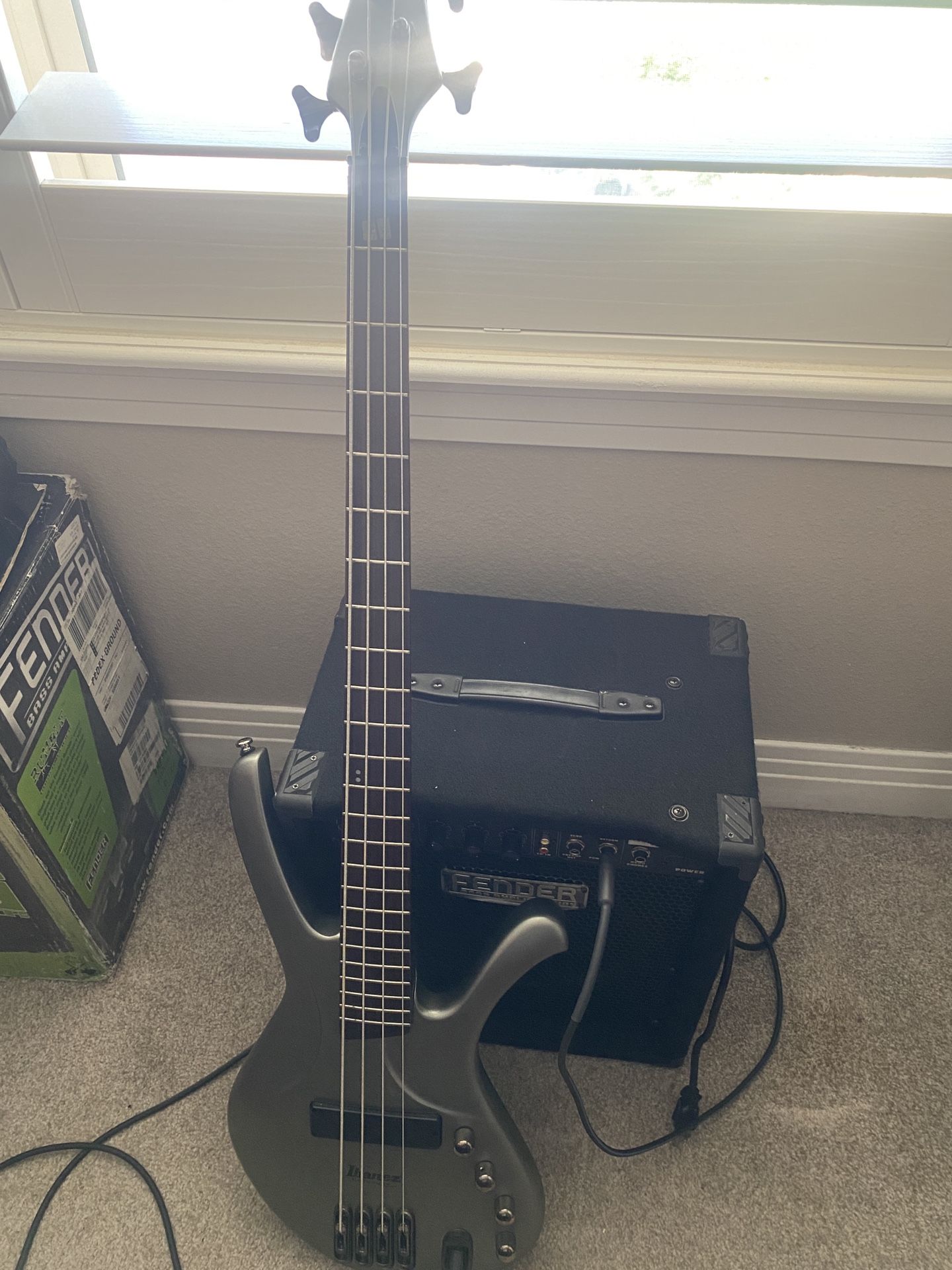 Ibanez Ergodyne Guitar and Fender Base Amplifier