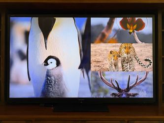 70 Inch! Sharp Aquos TV w/AppleTV