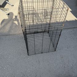 Dog Kennel 