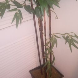 Fake Bamboo Tree 