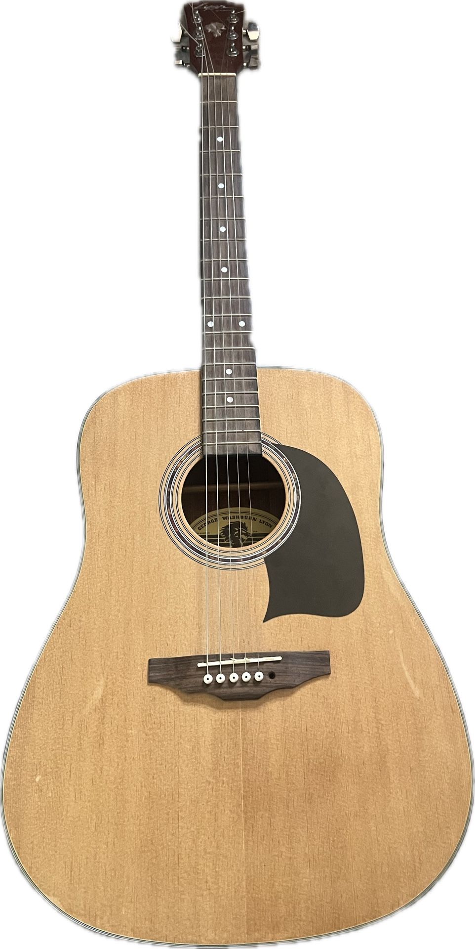 Washburn Acoustic Guitars