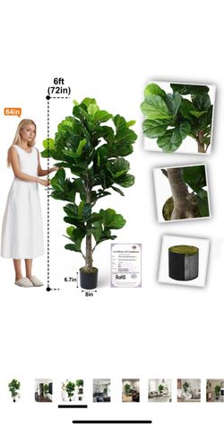 Aveyas 6ft Artificial Fiddle Leaf Fig Tree for Home Decor, 6 Feet Large Faux Plant Fake Ficus lyrata Silk Trees with Pot for Indoor Outdoor House Livi