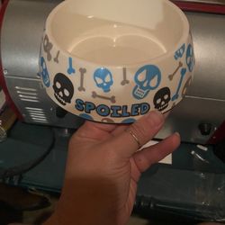 Doggy Bowl