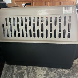 Dog House