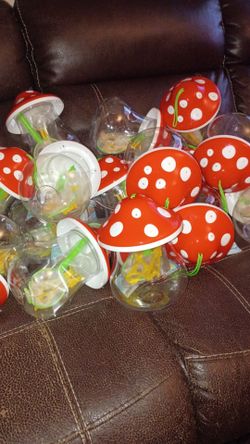 Mushroom Bug Catching Kit