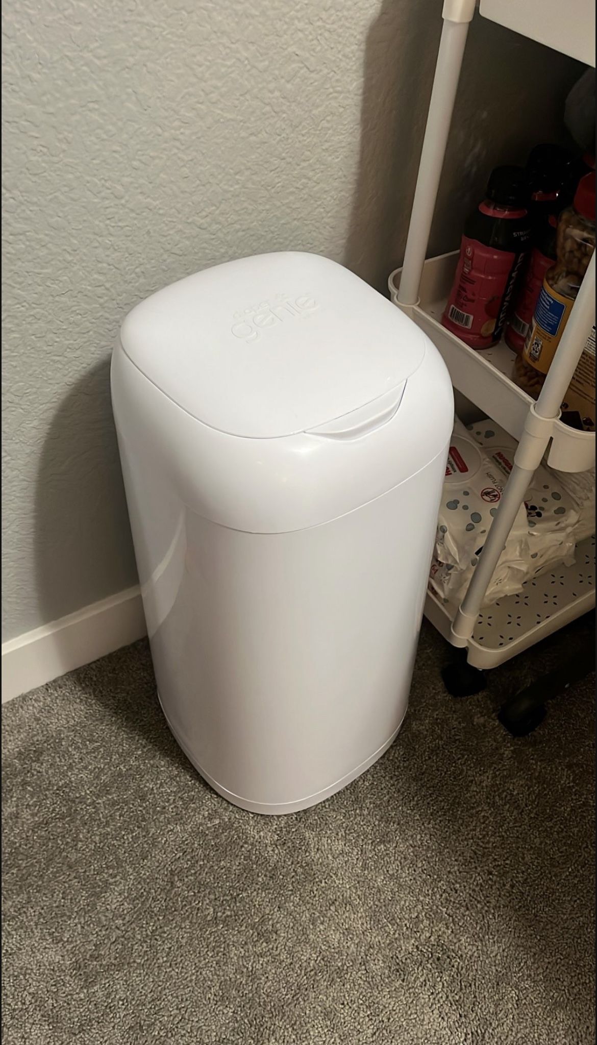 Free Diaper Genie