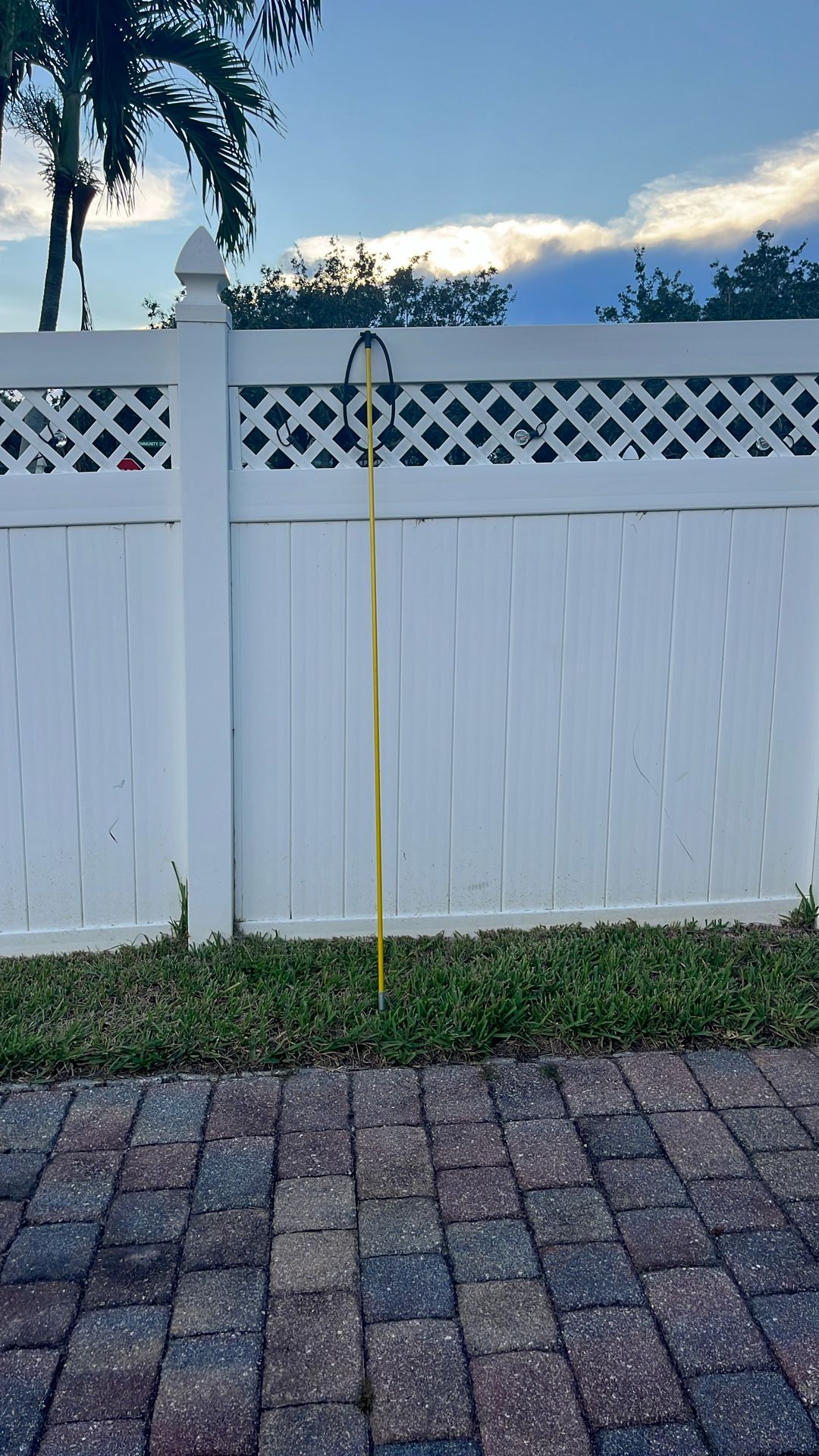Pole spear