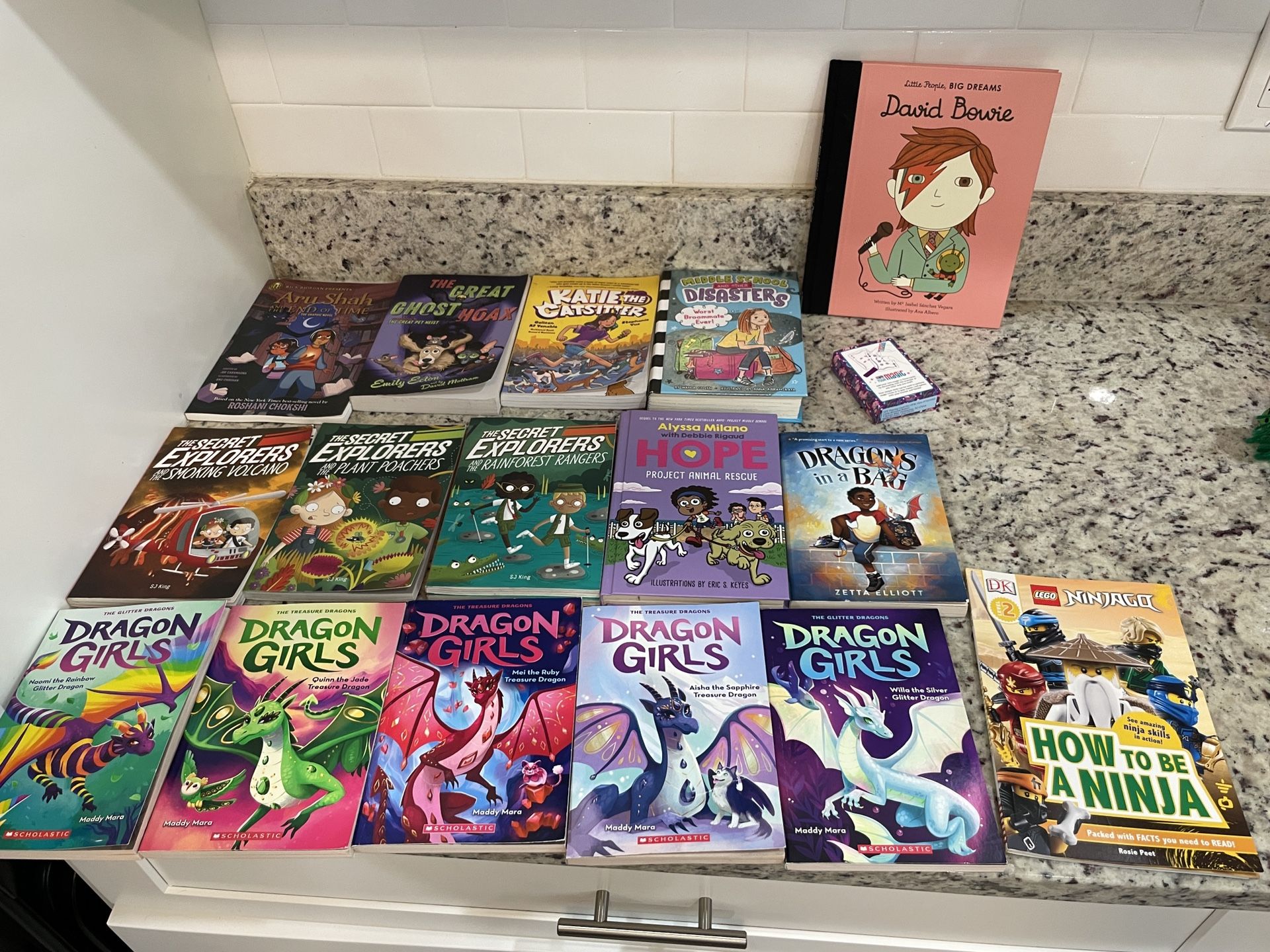 Preteen Chapter Book Lot - Dragons, Adventure Readers