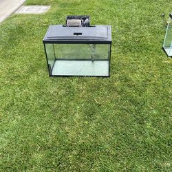 20 Gallon Aquarium Setup