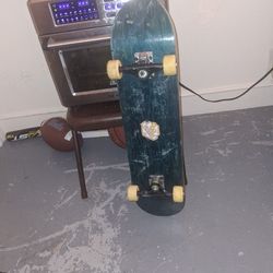 Mini Logo Skate Board