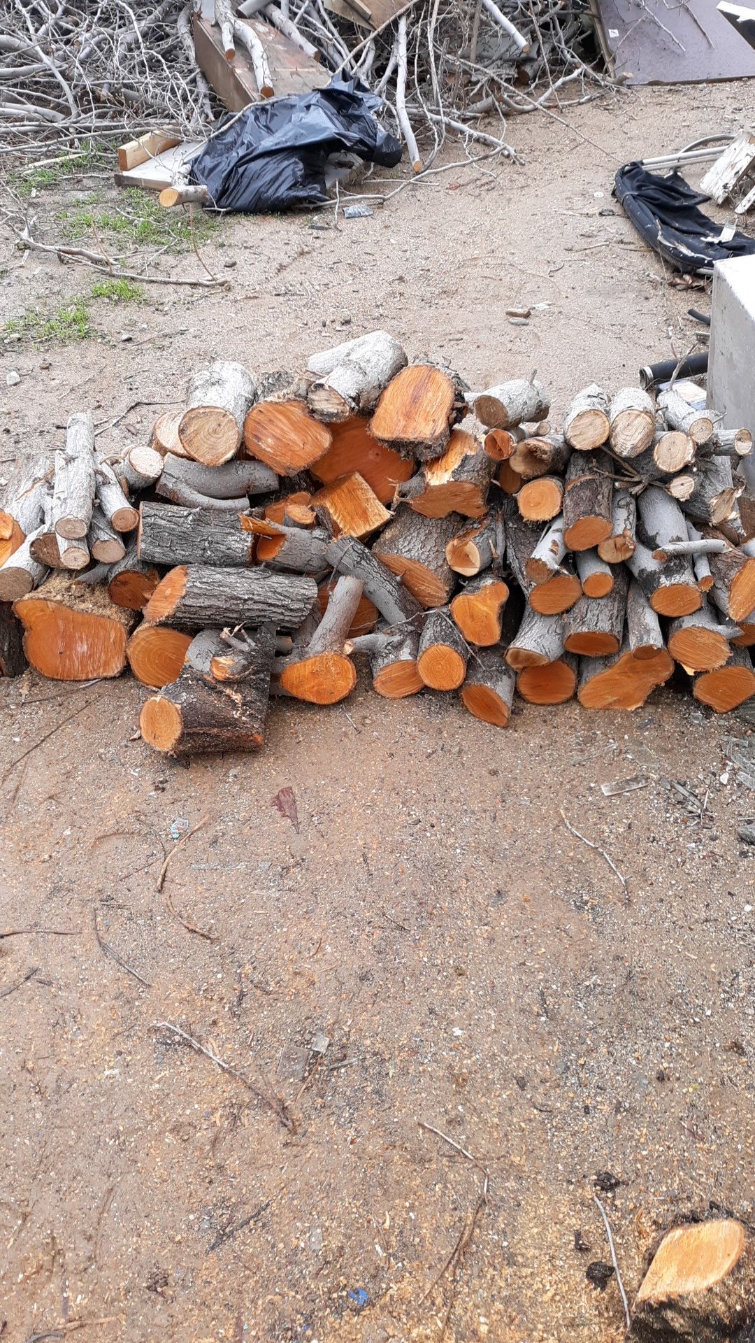 Free firewood