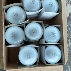 8 Pcs Bulbs. ($10 for all)