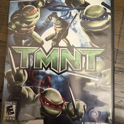 TMNT for the PlayStation 2 