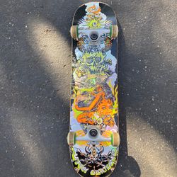 Santa Cruz VX Deck with Tensor Mag Lite Trucks