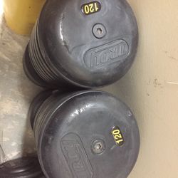 Troy 120lbs Dumbbells 