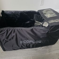 Ecoflow Glacier Bag