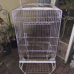 Bird Cage