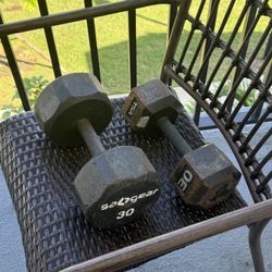 2 - 30lb Dumbbells 