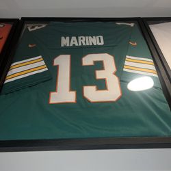 Dan Marino Miami Dolphins NFL Stitched Jersey + Display Case