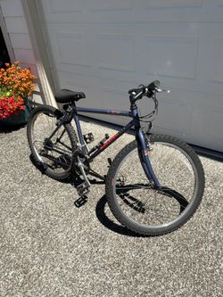 Raleigh Bike