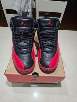 Jordan 12 flu game