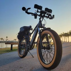 Bicicleta Electrica Con 2 Baterias