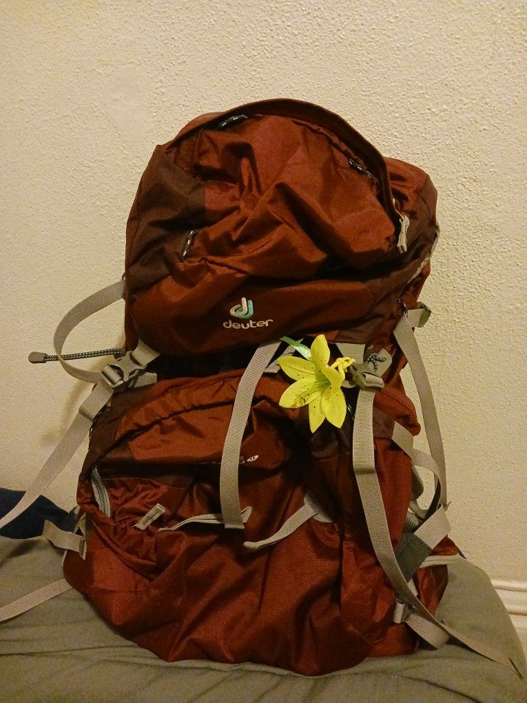 Deuter backpack