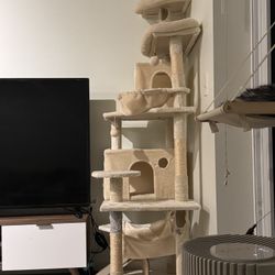 Cat Tower For Free