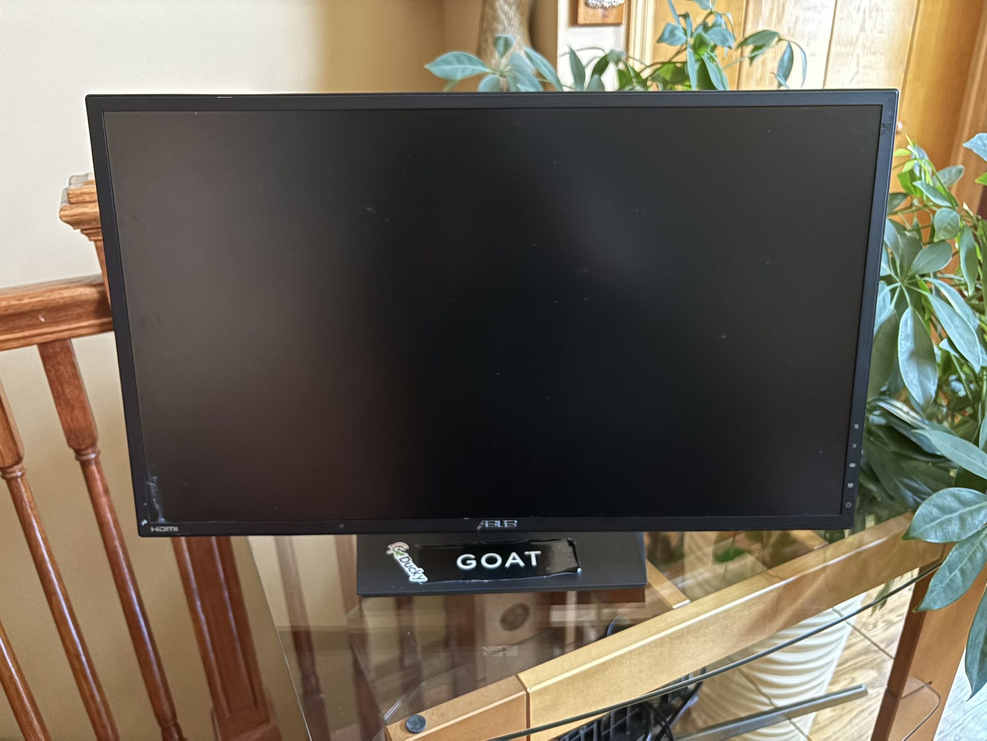 Asus VG245 Monitor