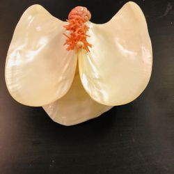 Vintage Med Century Modern Mother Of Pearls Designed With Carols Beeds Branch Trinkets Display Folk Art 