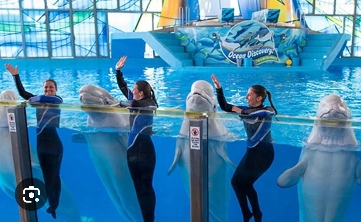 Seaworld SANDIEGO Tickets / Boletos