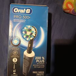 Oral B Pro 500 Toothbrush 
