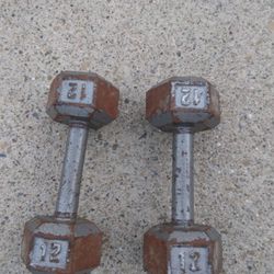 Pesas De 12 Libras Chek Mi Página 