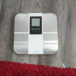 FREE TAYLOR WEIGHT SCALE