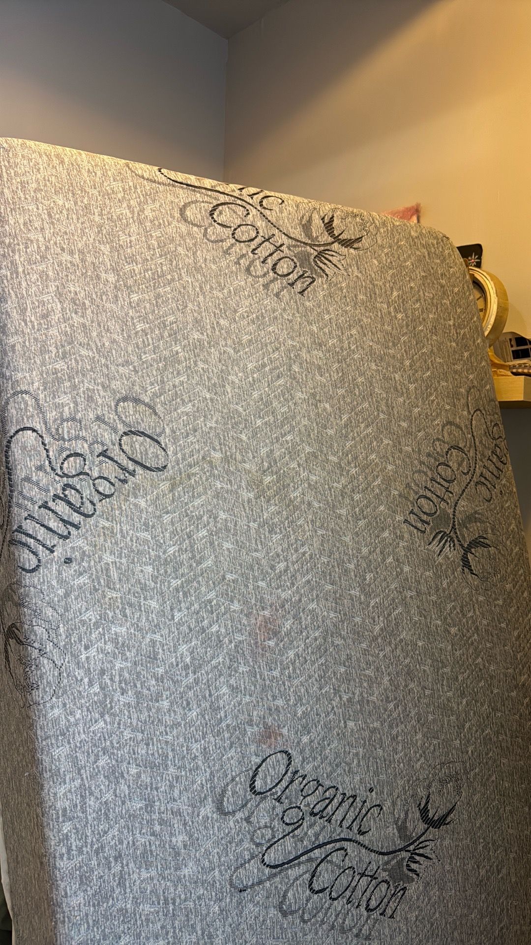 FREE twin Matress