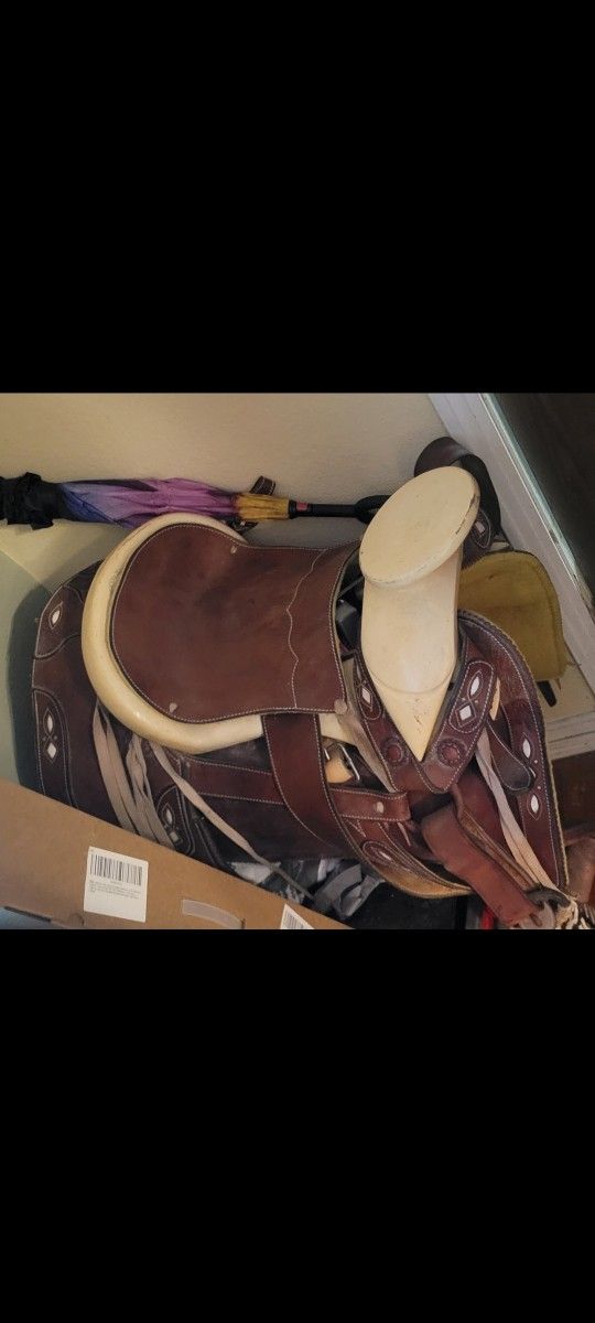 Mexican Saddle