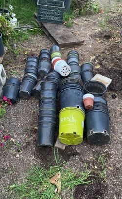 Macetas De Plástico Usadas Para Plantar Plantas, Tamaño 6 Pulgadas, 1 Gallón, 2 Gallones Pick Up Only 