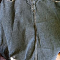 Plus Size Skirts (New Never Worn)
