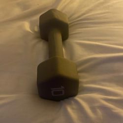 10 Pound Weights